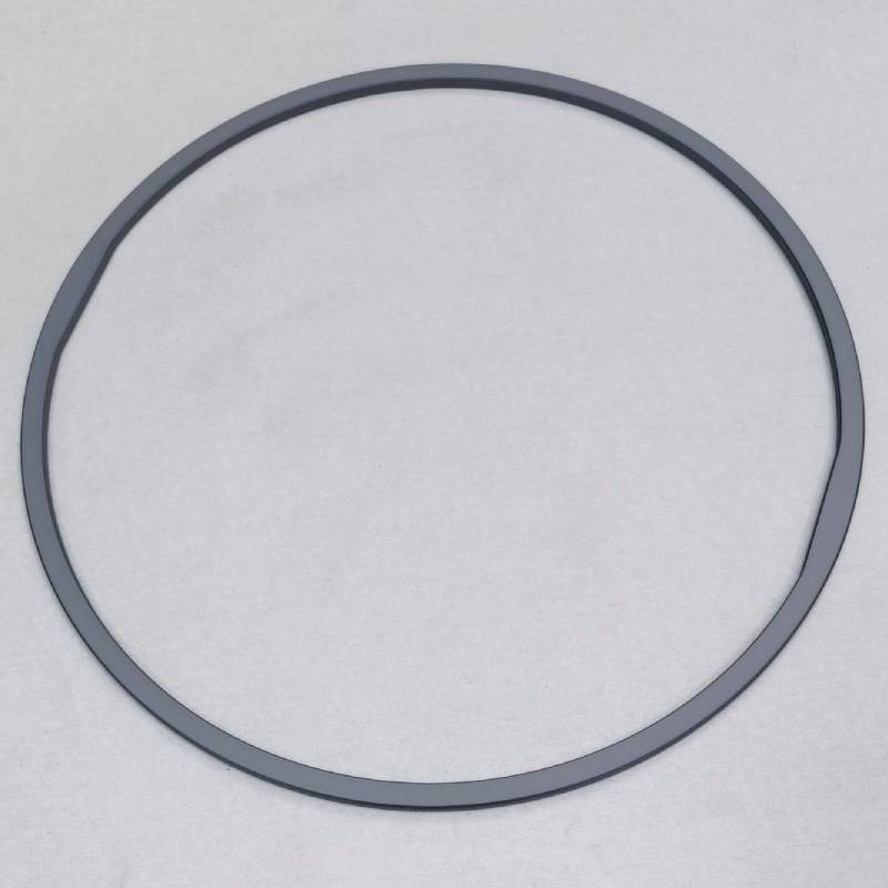Silicon Ring